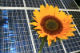 Erneuerbare-Energie-Richtlinie und Mieterstrom